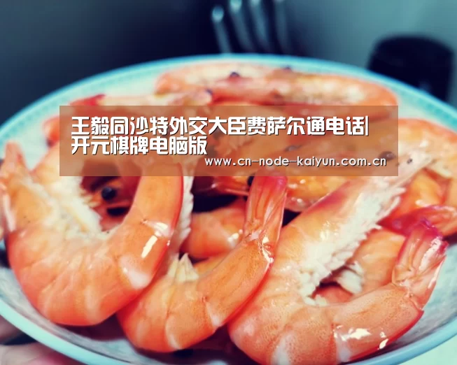 王毅同沙特外交大臣费萨尔通电话|开元棋牌电脑版(图1) 开元棋牌app