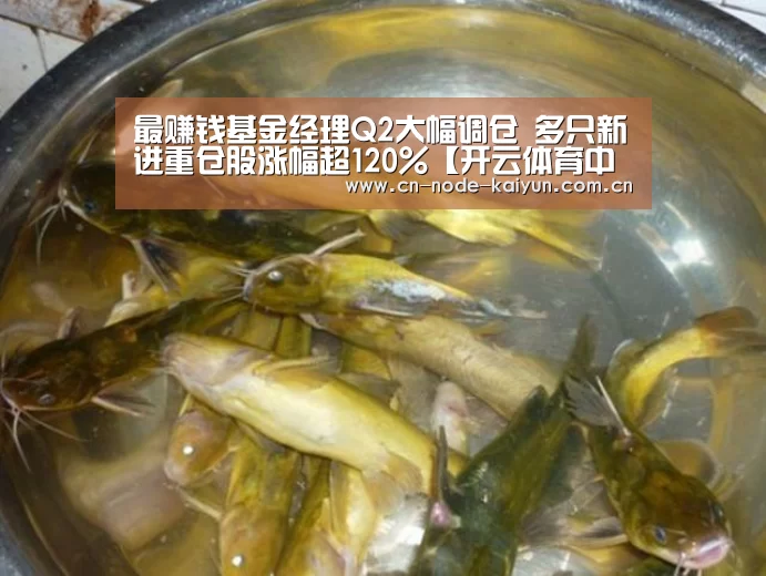 最赚钱基金经理Q2大幅调仓 多只新进重仓股涨幅超120%【开云体育中国官网】(图1) 开元棋牌app