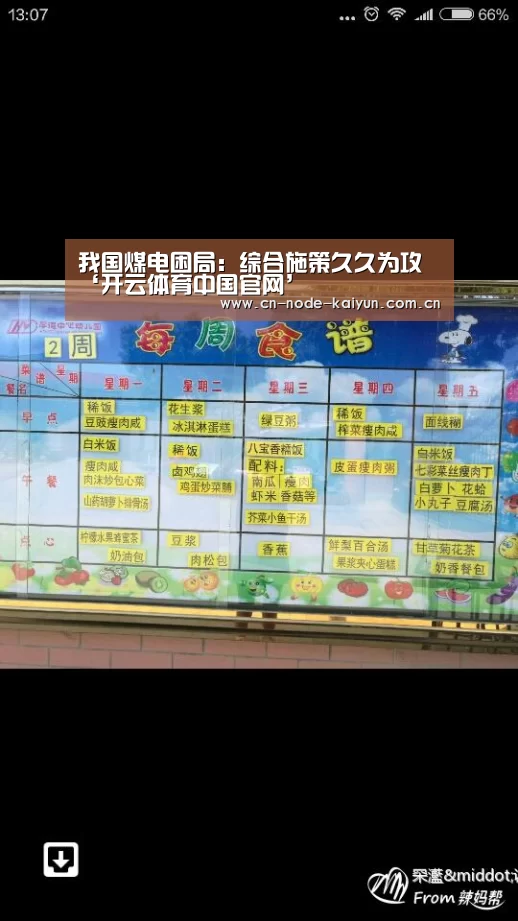 我国煤电困局:综合施策久久为攻‘开云体育中国官网’(图2) 开元棋牌app